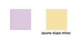 compilatie dereglati