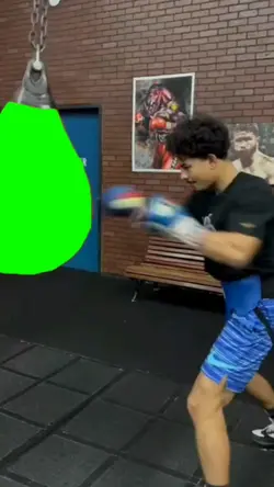 punch bag