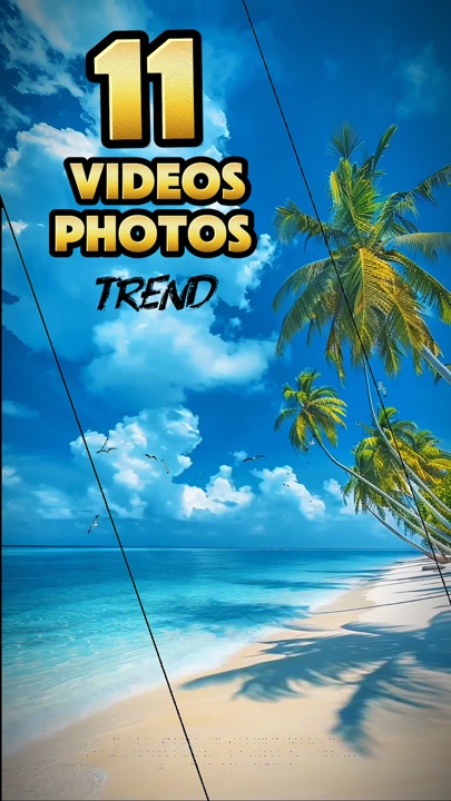 11 videos or photos 