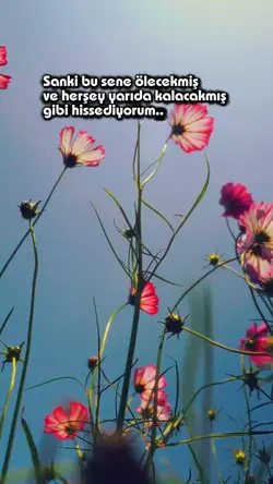 uyandırın anamı 