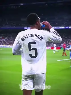 Free Bellingham edit