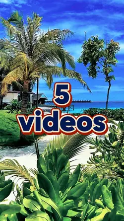5 slide videos