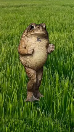 dancing frog