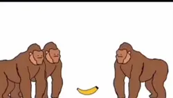 Monkey rich as F@£&