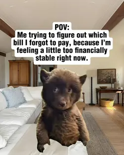 Financially Confused