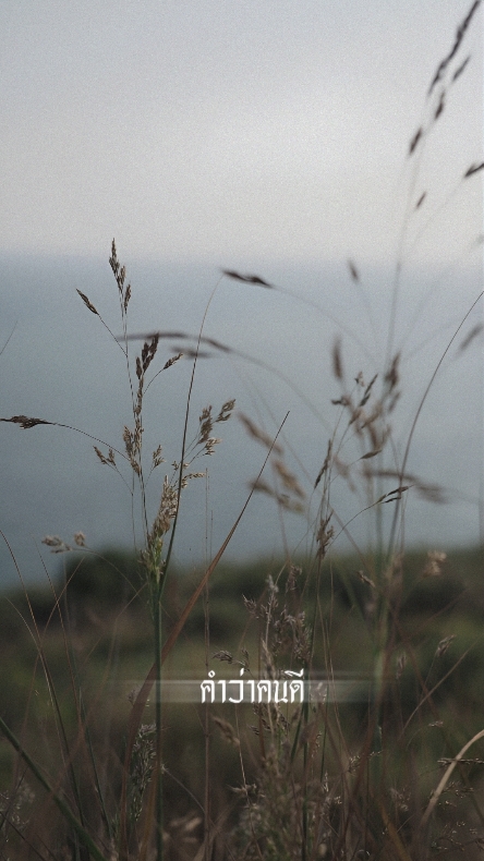 คำว่าคนดี