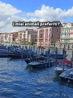 i miei animaletti 🩶