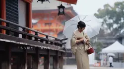 美的