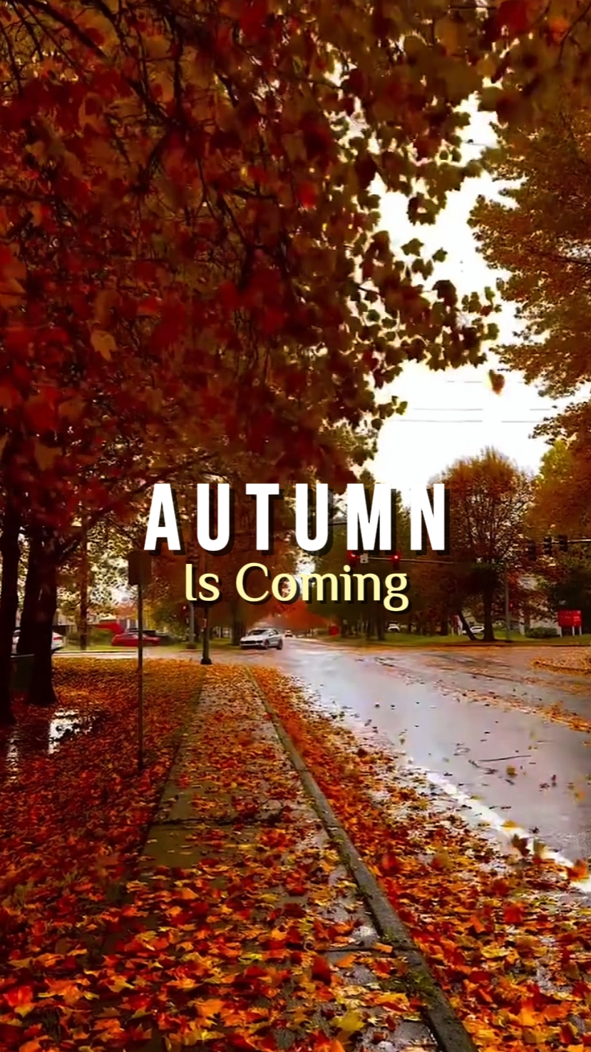 Der Herbst kommt