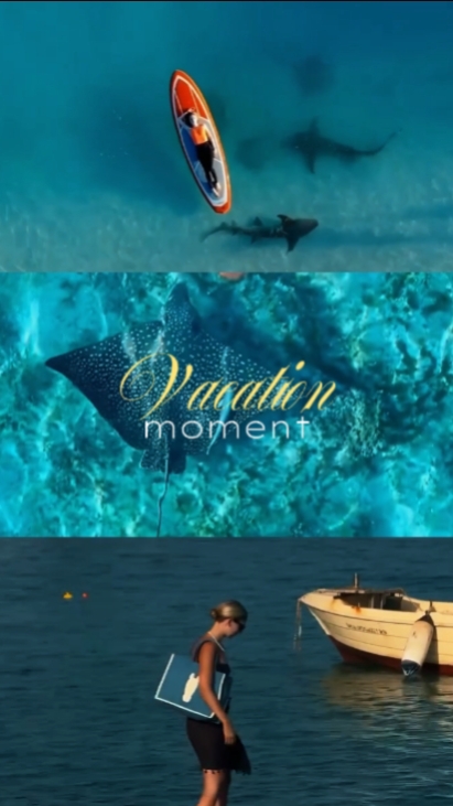 VACATION MOMENT