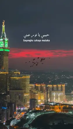 Habibi - Song Arab