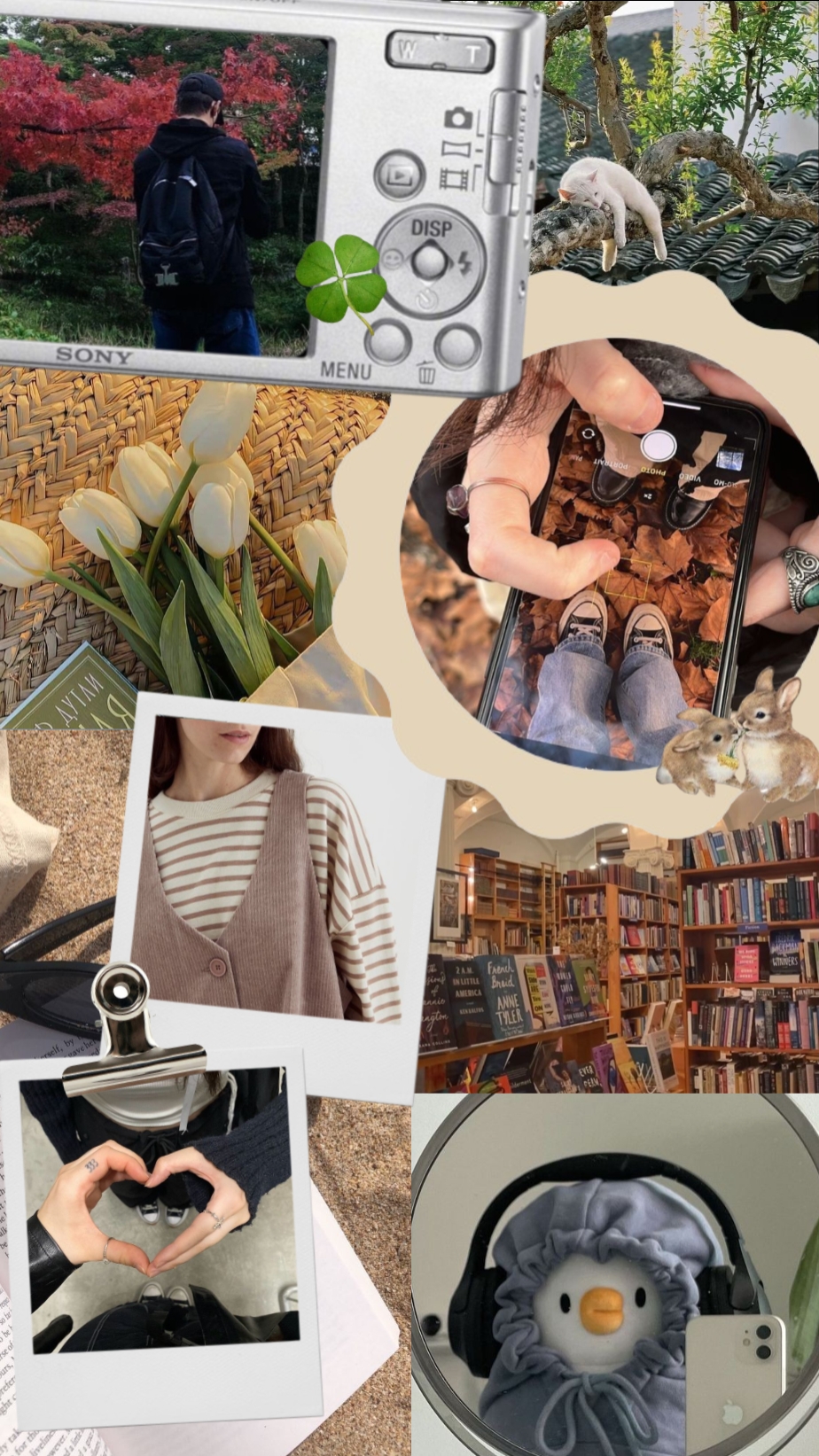 Cover Picture