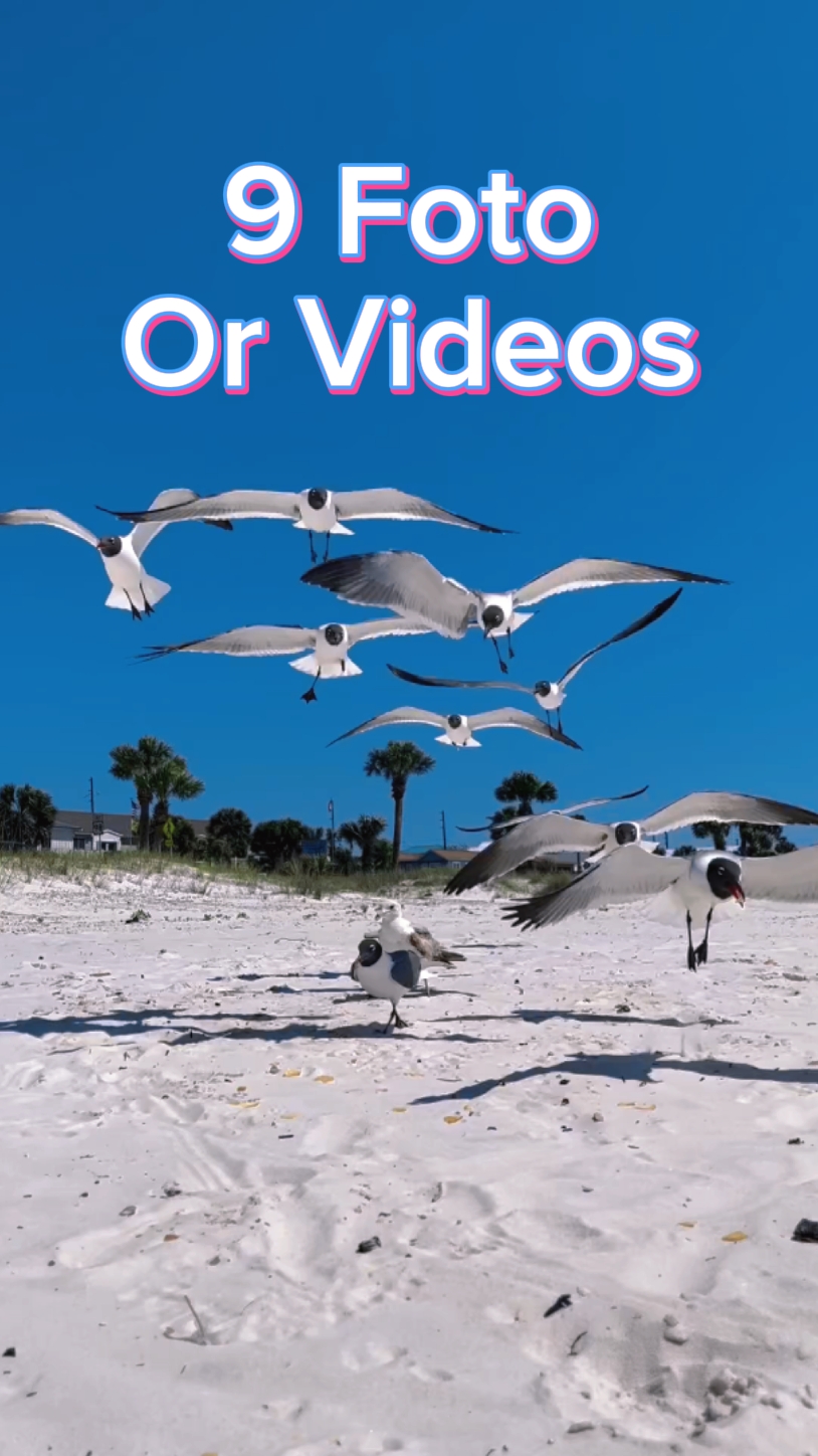 9 video slide