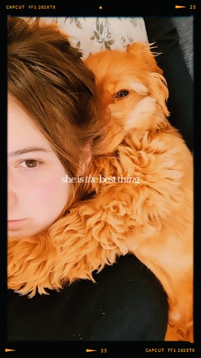 Pet vlog moment