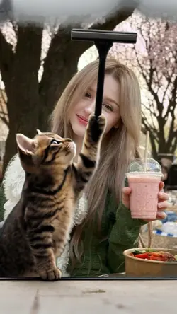 Cat Trend