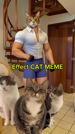 Effect Cat meme 