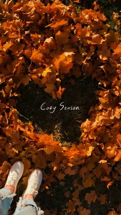 Cozy Season.