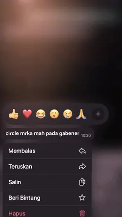 versi circle