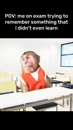 pov: me on exam