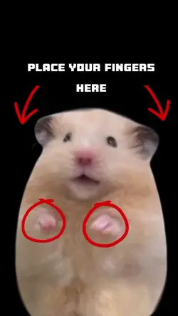 funny hamster meme