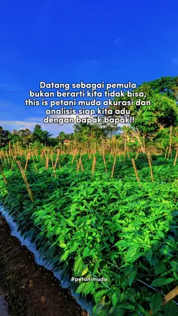 this is petani muda