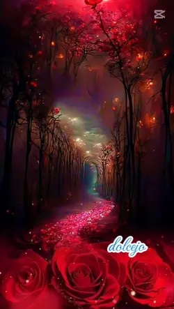 dolce notte 