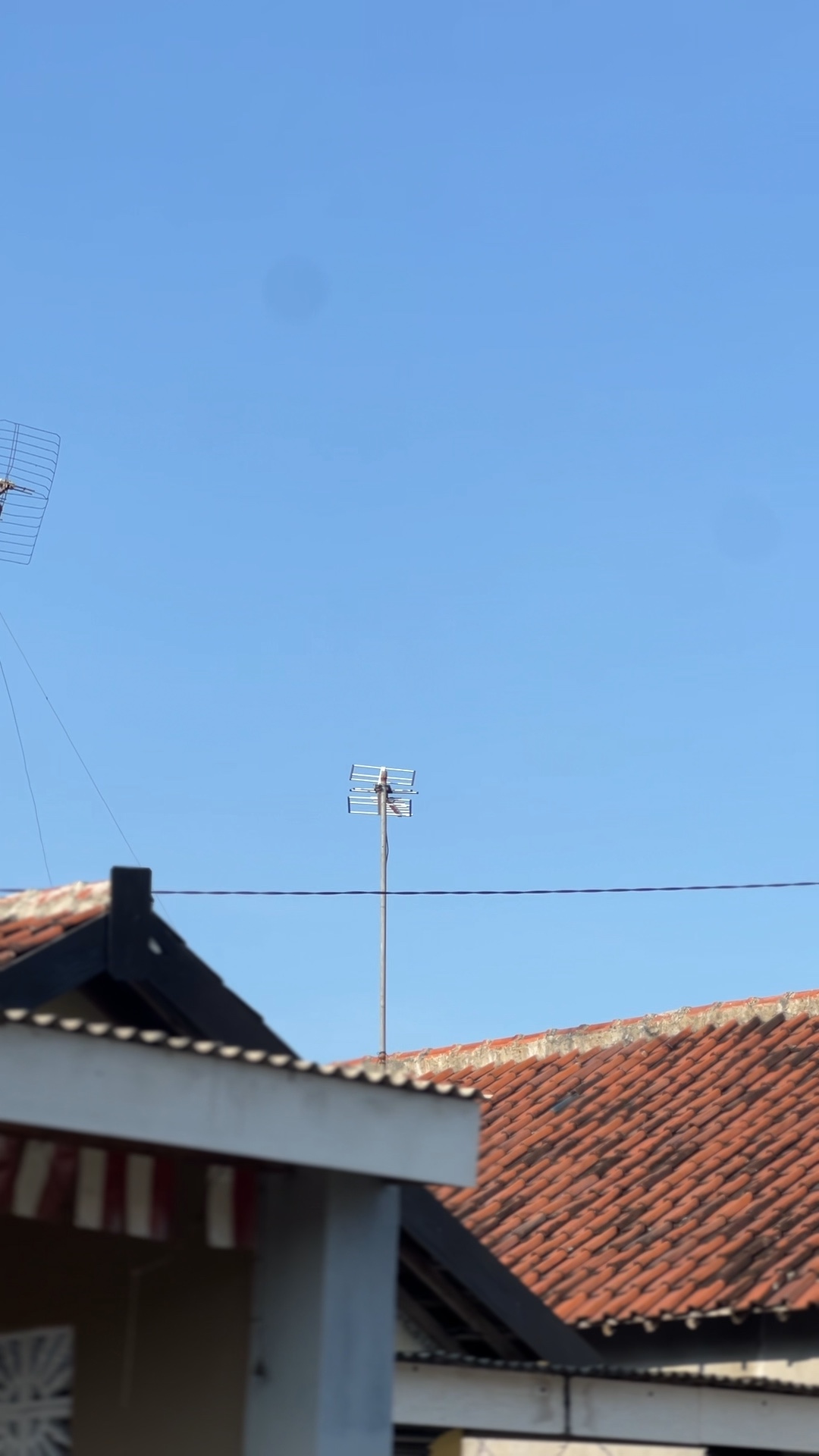 3 VIDEO CENIMATIK