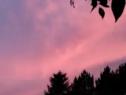 co cię uszczęśliwia