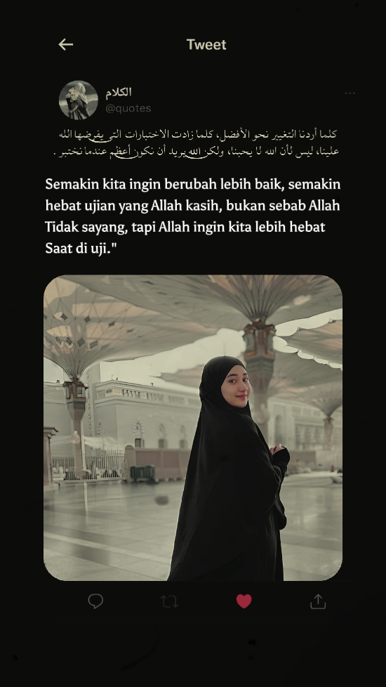 quote arabindo