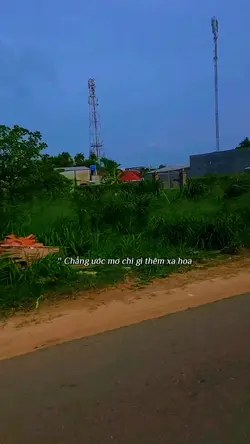 Từng Nhiều Năm Bôn