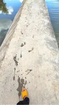 🤩🏞️