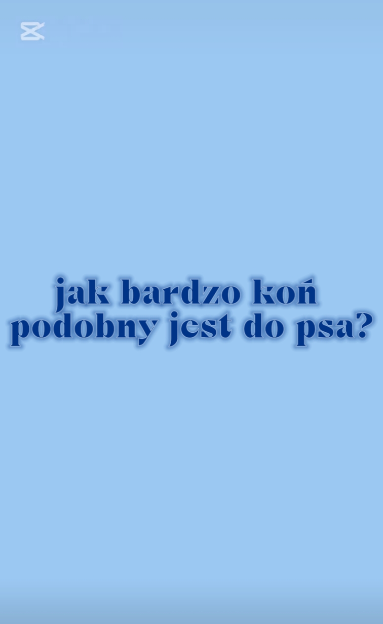 podobie😍stwo 