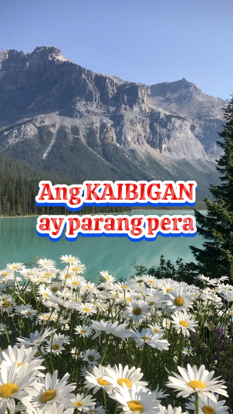Ang kaibigan 