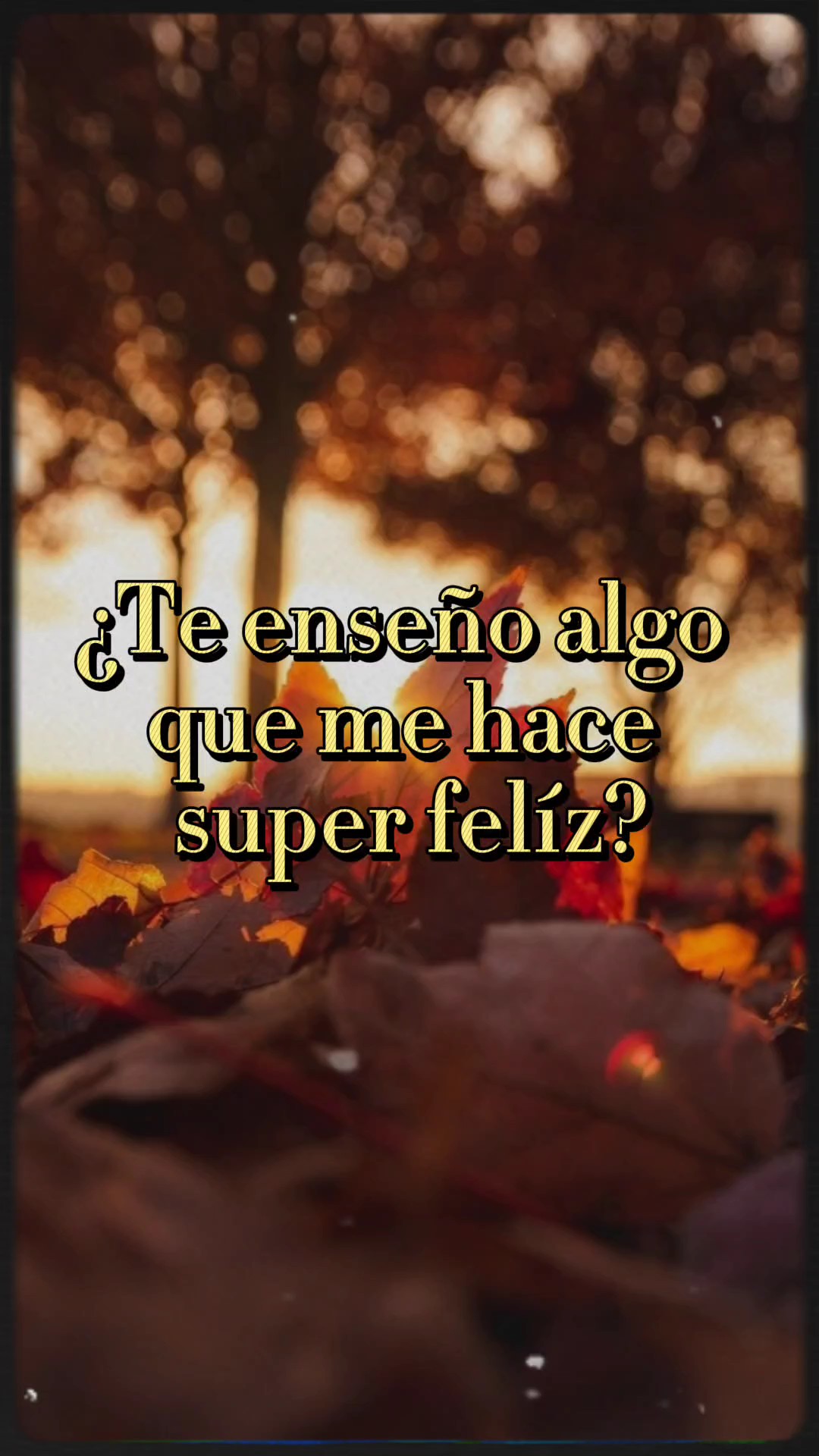 Mi mascota favorita