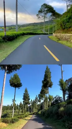2 video 1 frame