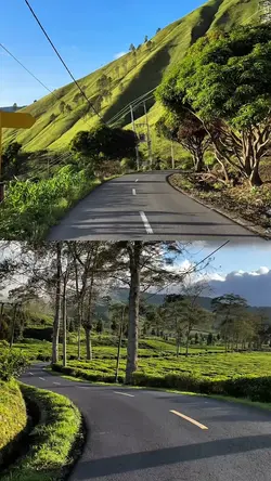 2 video 1 collage hd