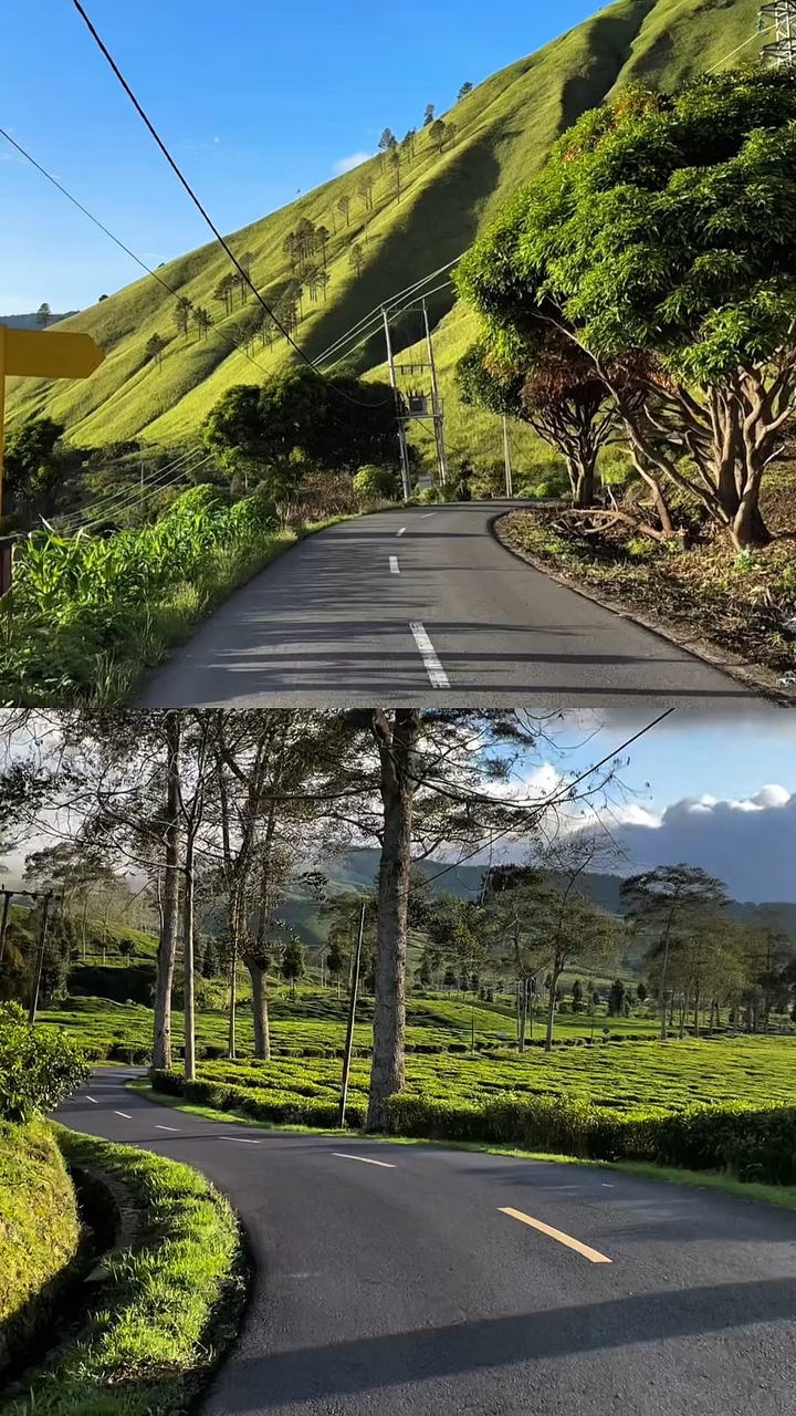 2 video 1 collage hd