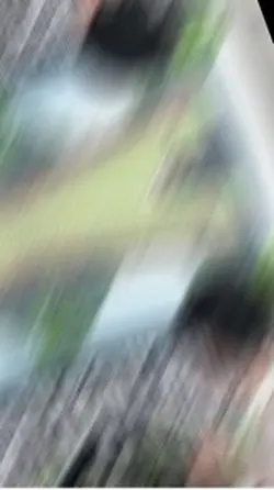 Mẫu 2 ảnh