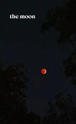 Moon Lunar Eclipse