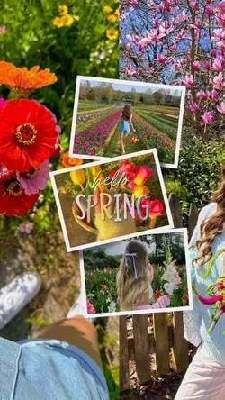 HELLO SPRING PHOTO 🌸