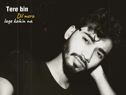 Tere bin dil mera