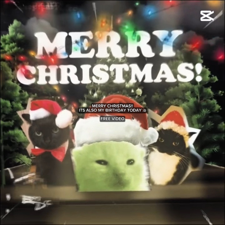 JOYEUX NOËL 🌞