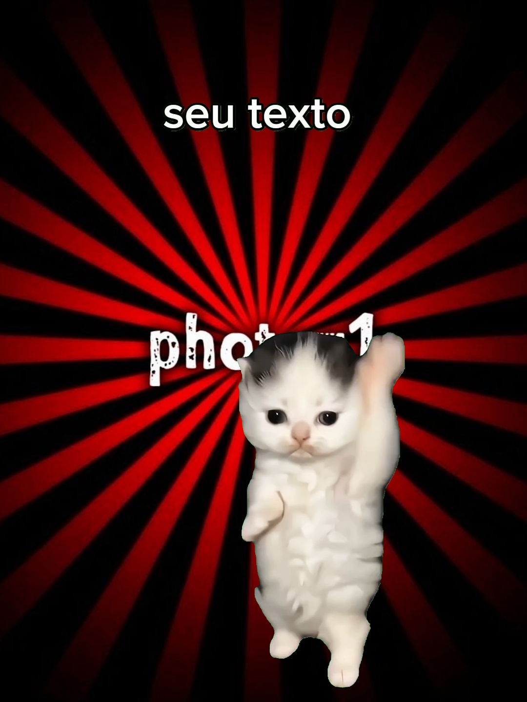 cat edit video 