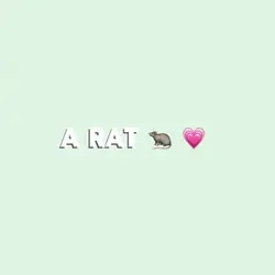 rats >>>>
