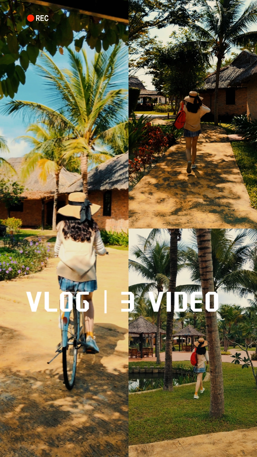 VLOG | 3 VIDEO 