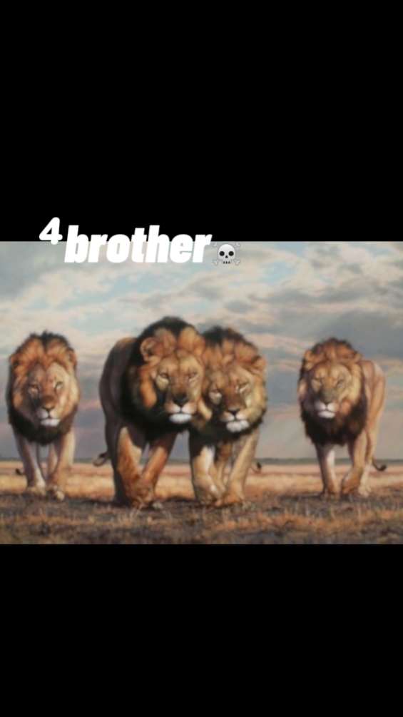 .Bhother