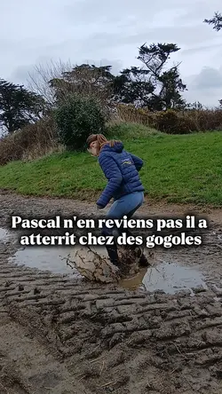 gogole