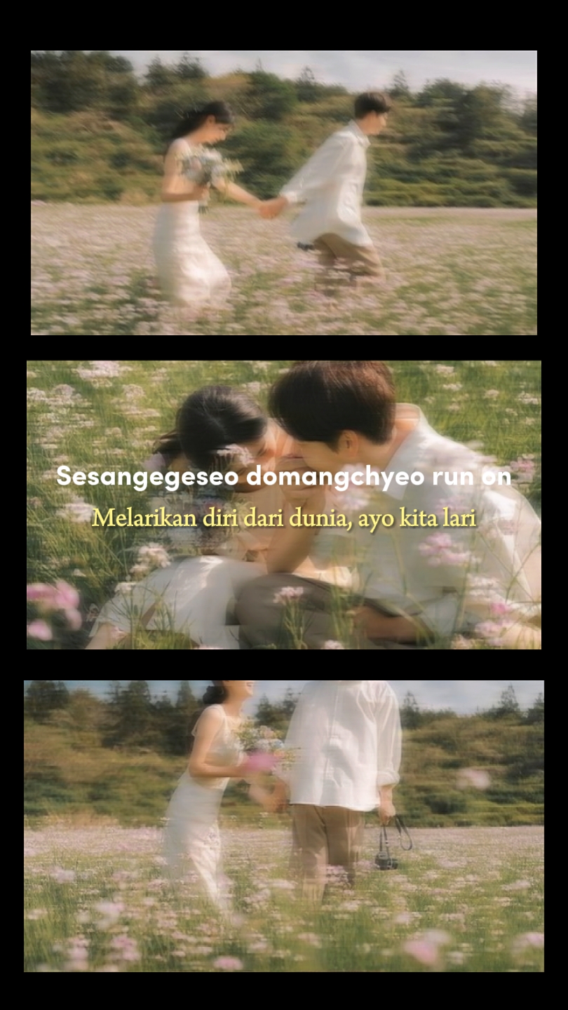 Love Wins All