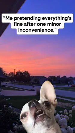 Inconveniece meme