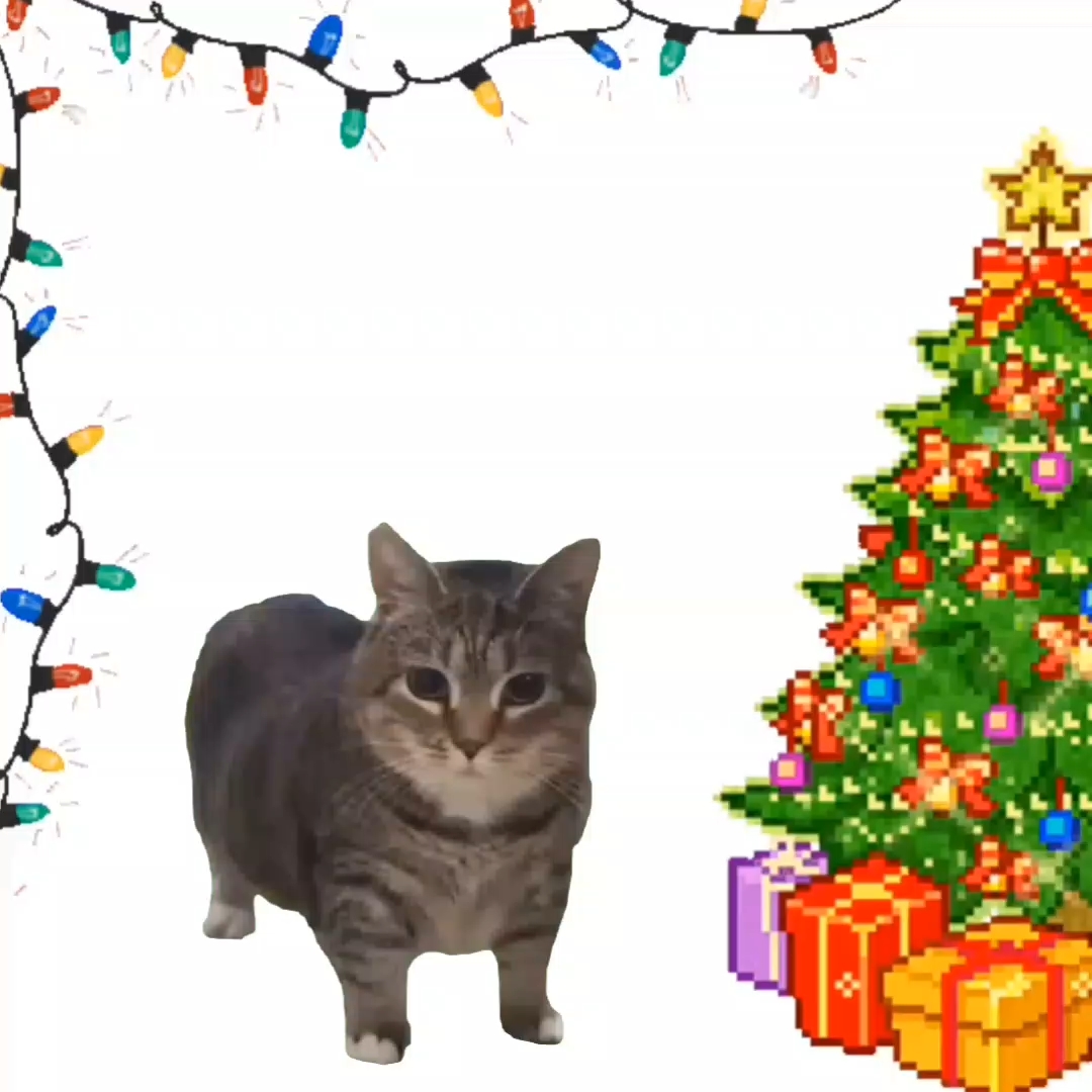 Christmas cat
